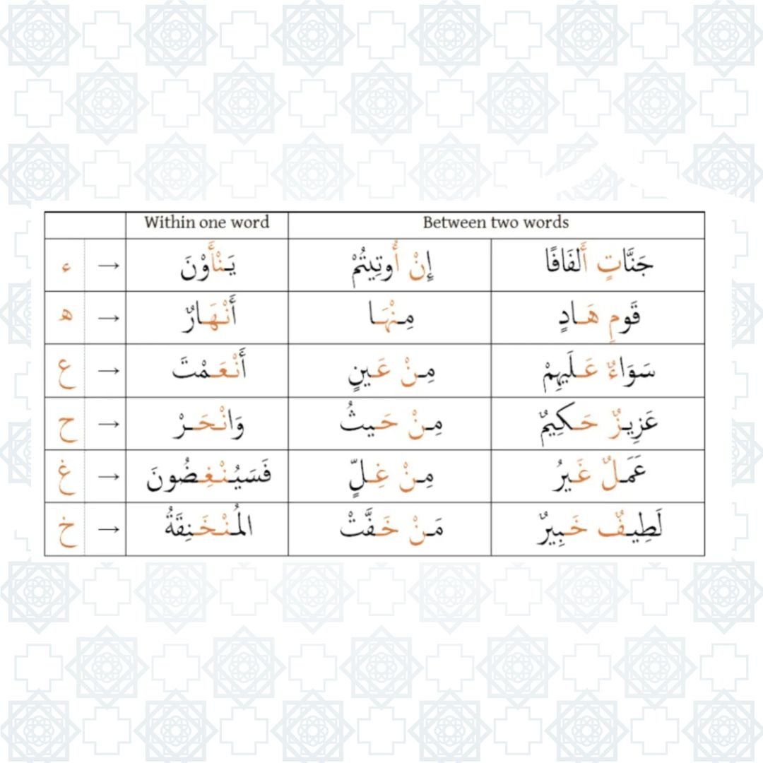 Online Quran Lessons with Qualified Teachers